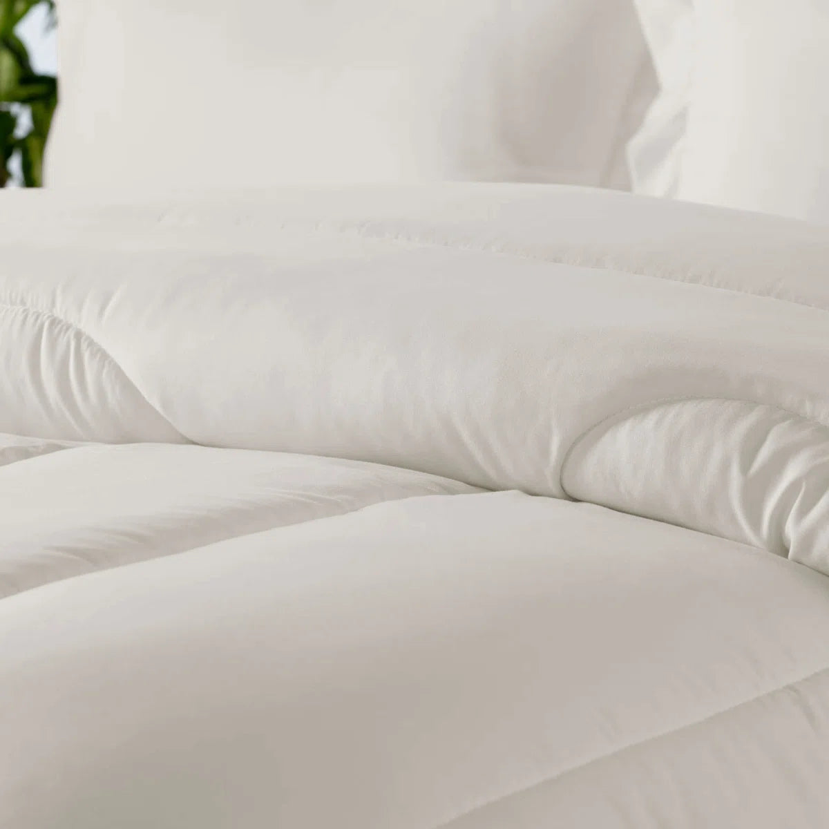 Wayfair Basics® Lightweight Bed-In-A-Bag Set